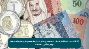 12.89 جنيه.. استقرار الريال السعودي أمام الجنيه المصري في بداية تعاملات اليوم الاثنين 1-9-2025
